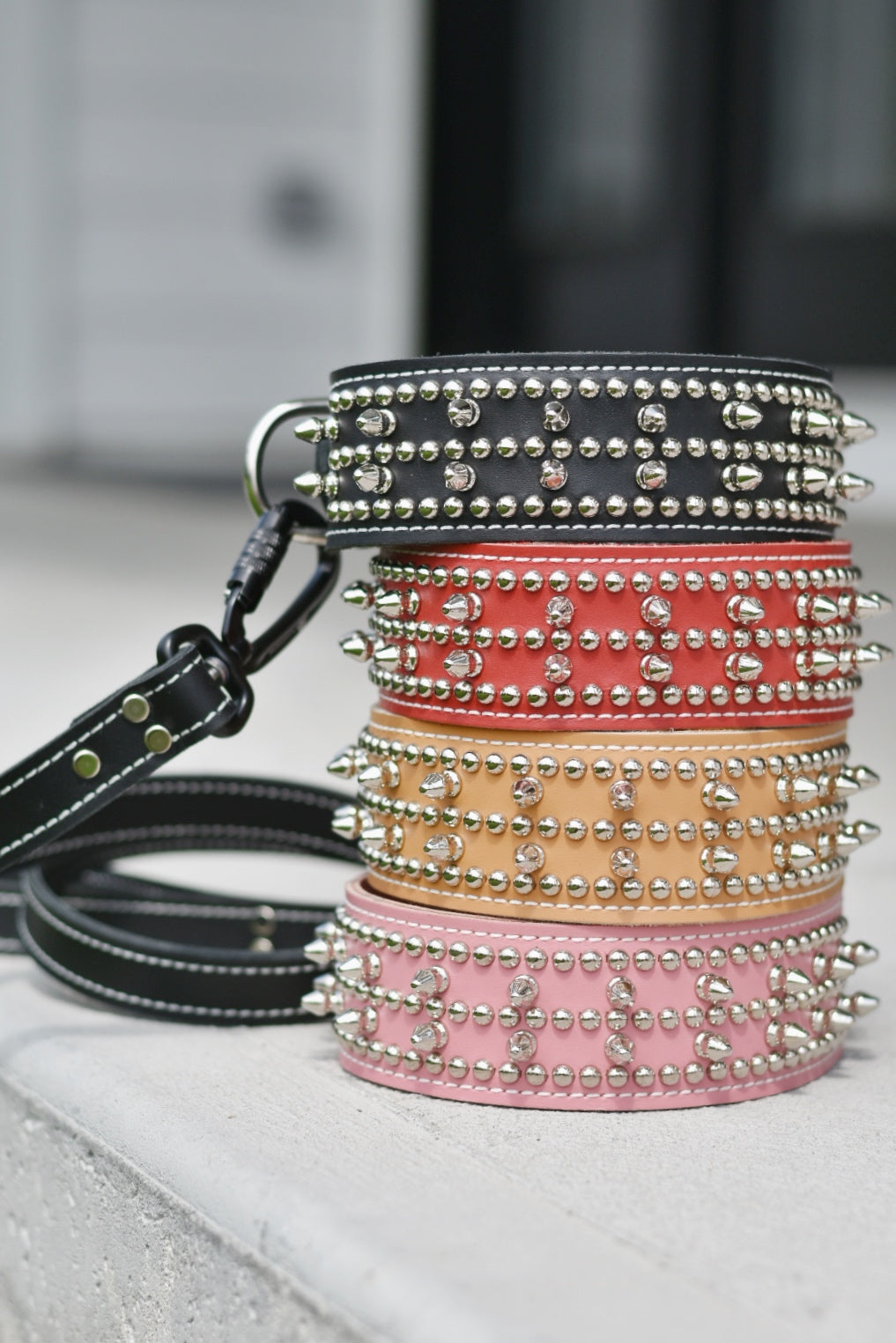 Leather Leash