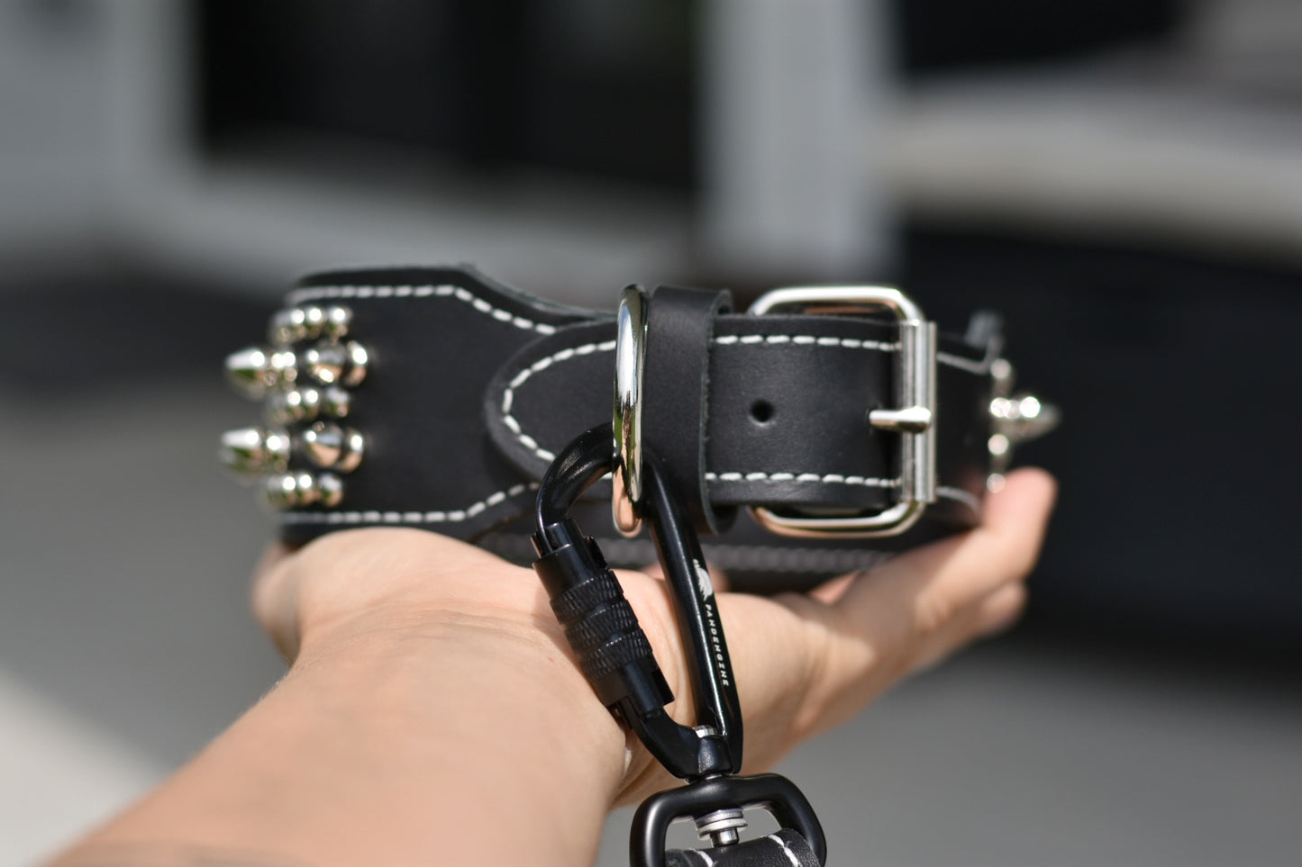 Leather Leash