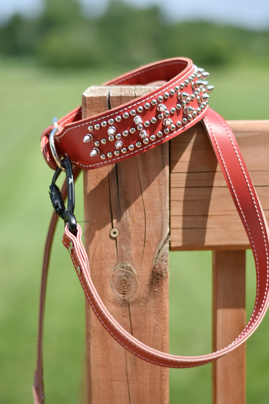 Leather Leash