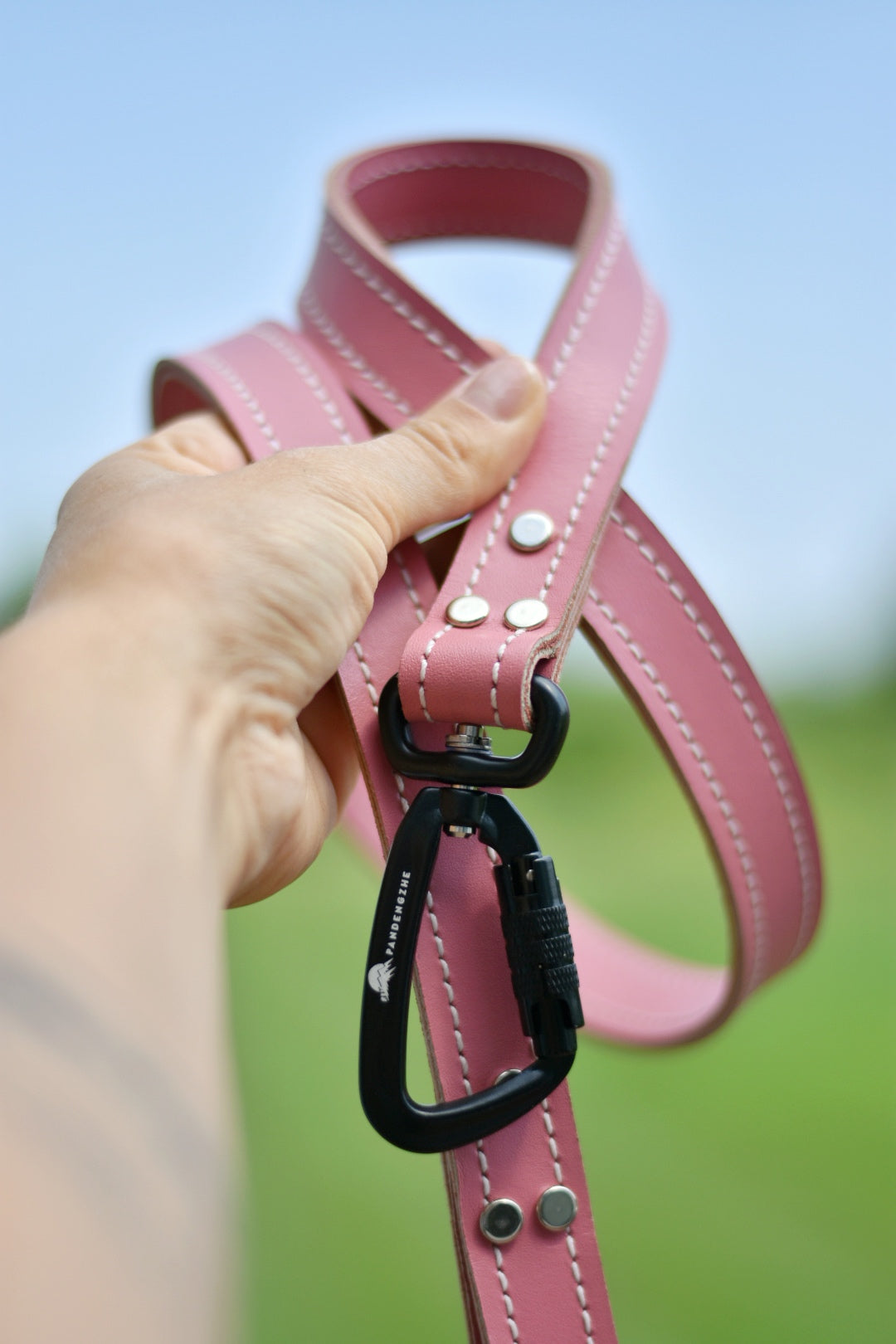 Leather Leash