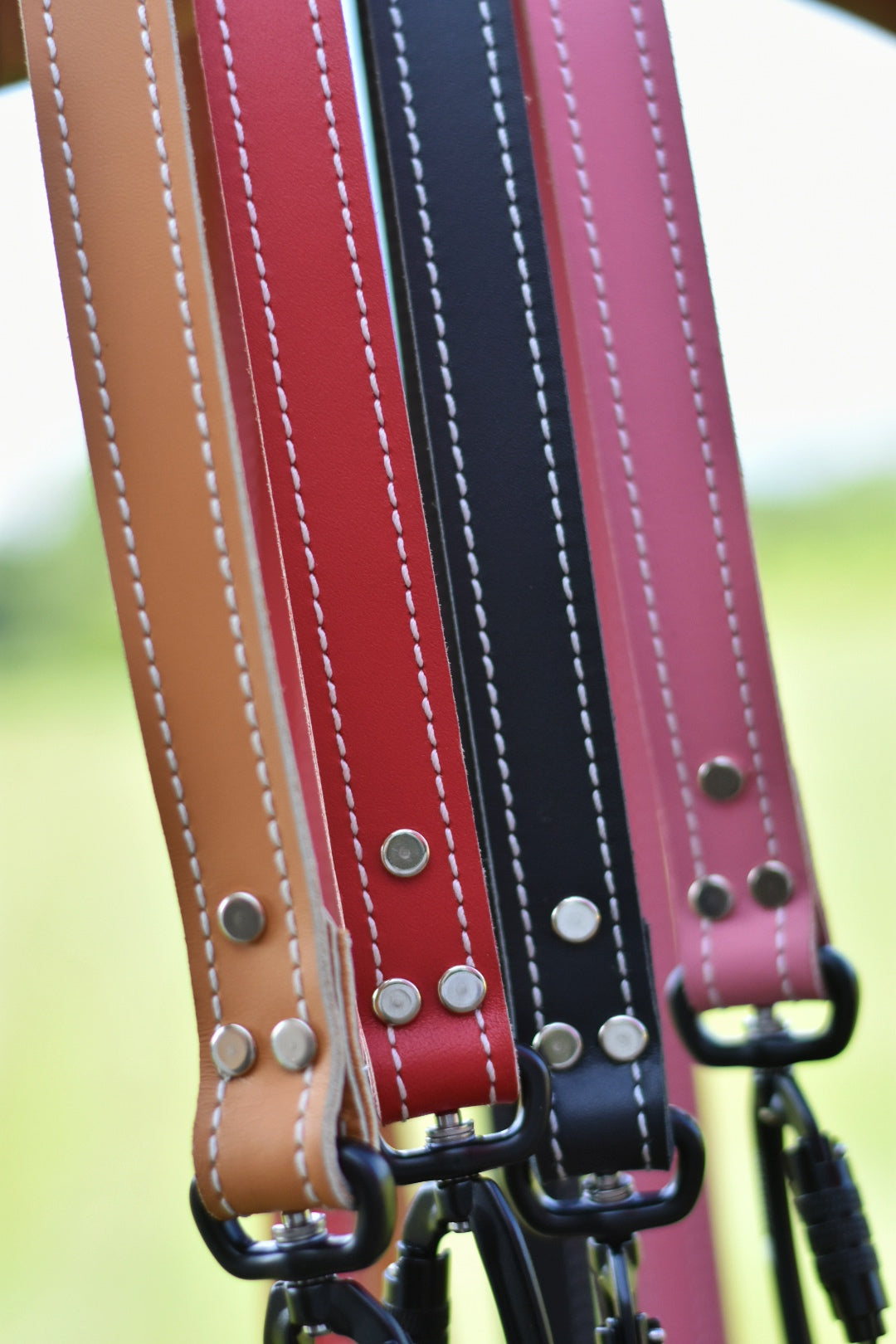 Leather Leash