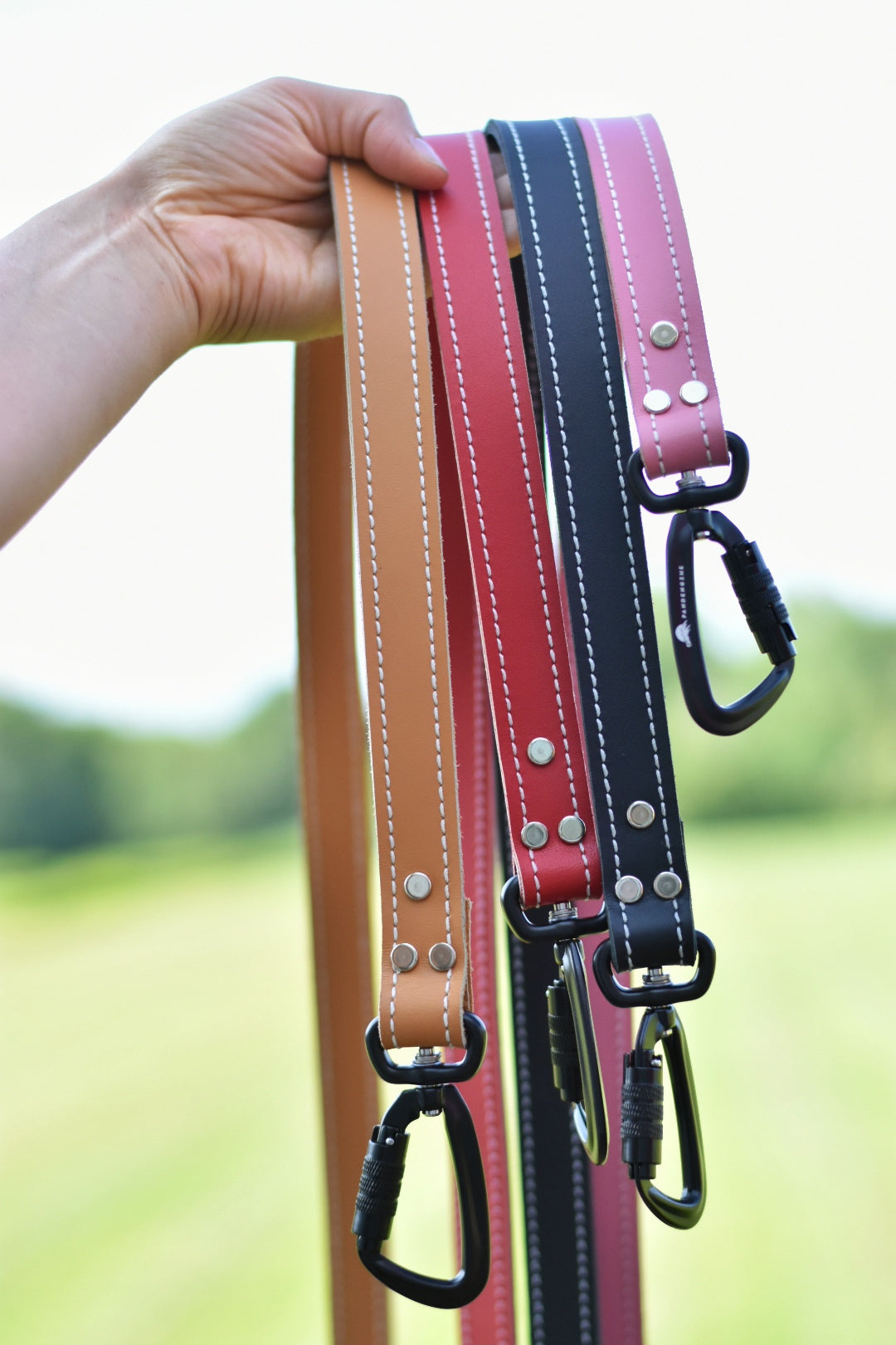 Leather Leash
