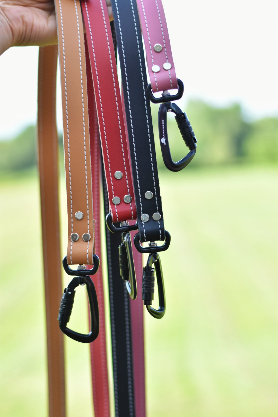 Leather Leash