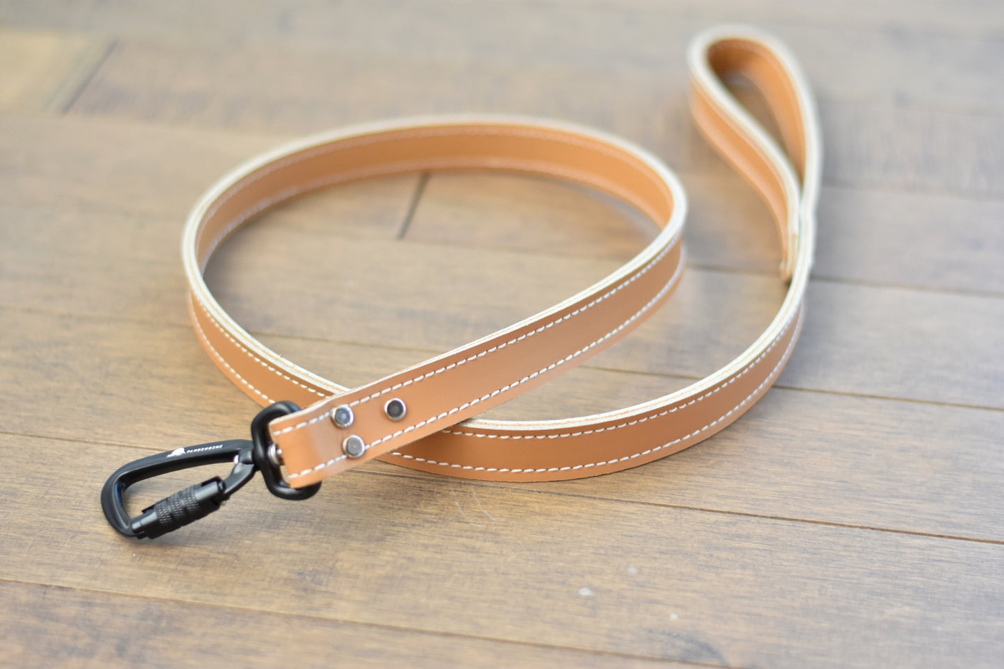 Leather Leash