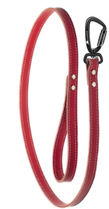 Leather Leash