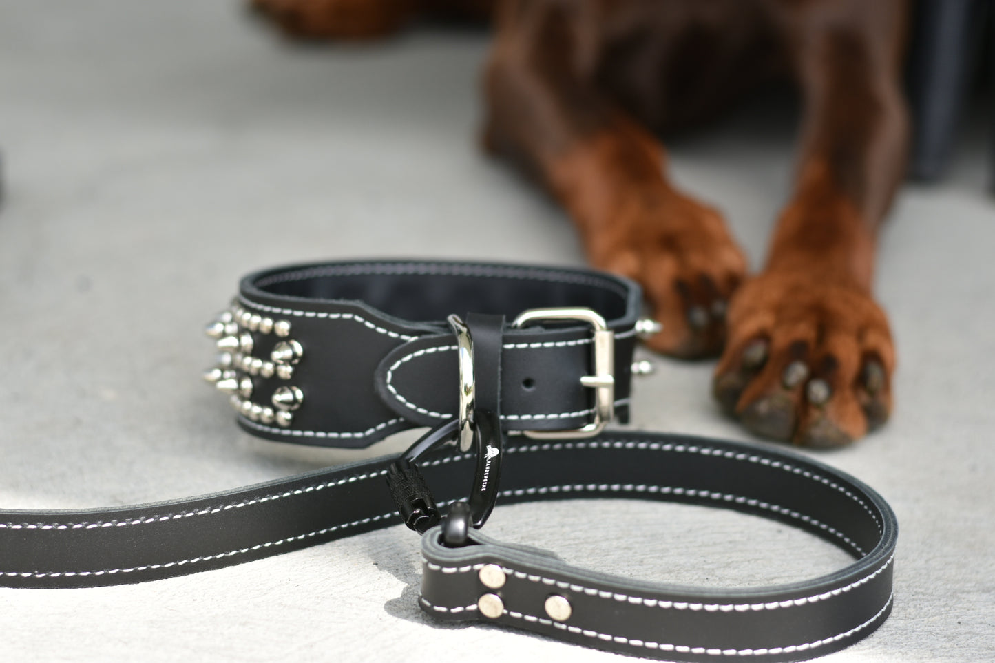 Leather Leash
