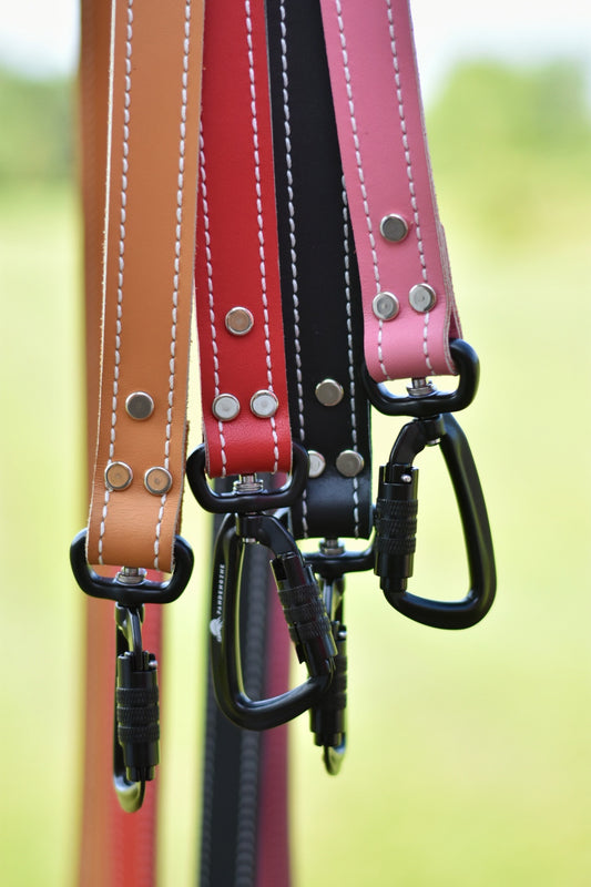 Leather Leash